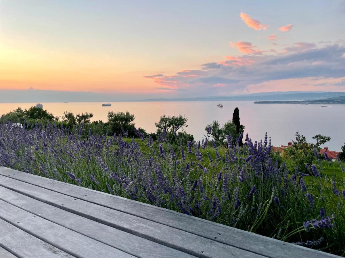 Villa The View Koper Exterior photo